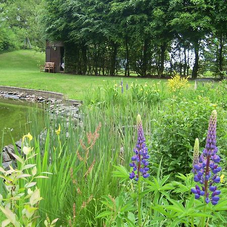 Farm Stay Heidehof Hellenthal Exteriör bild