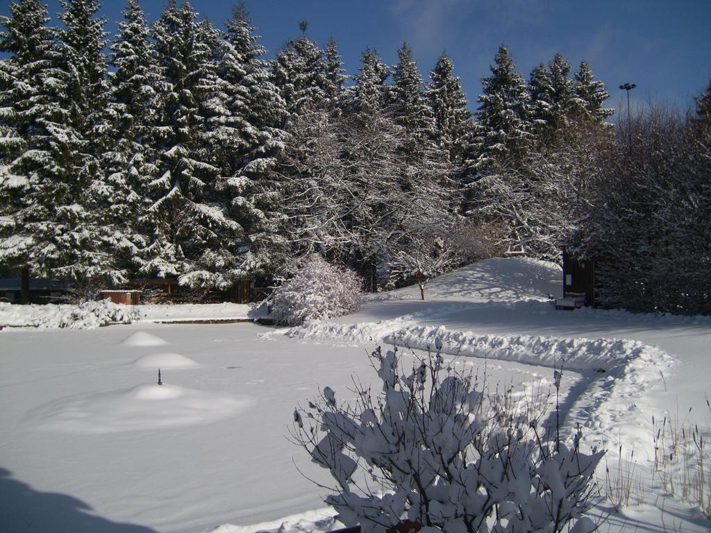 Farm Stay Heidehof Hellenthal Exteriör bild