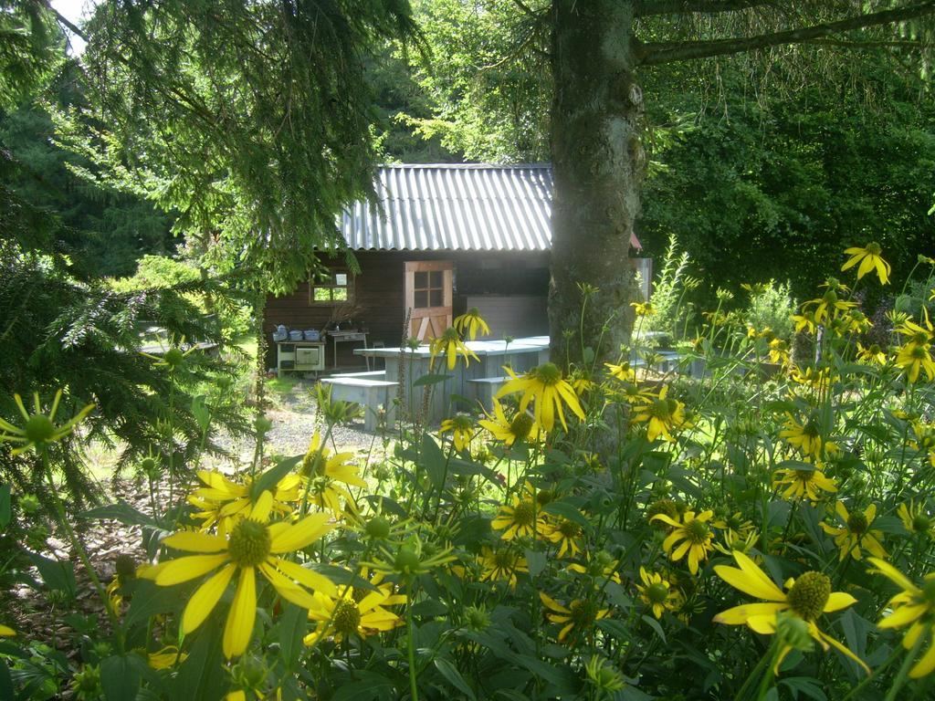 Heidehof Hellenthal Villa Exteriör bild