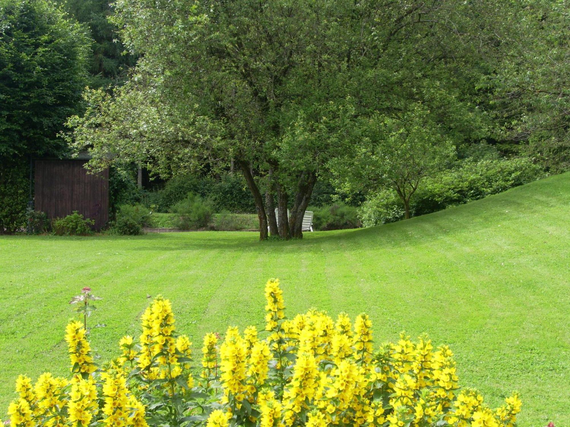 Heidehof Hellenthal Villa Exteriör bild