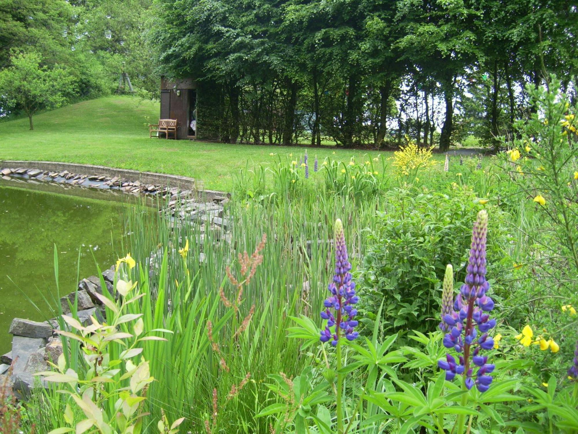 Farm Stay Heidehof Hellenthal Exteriör bild